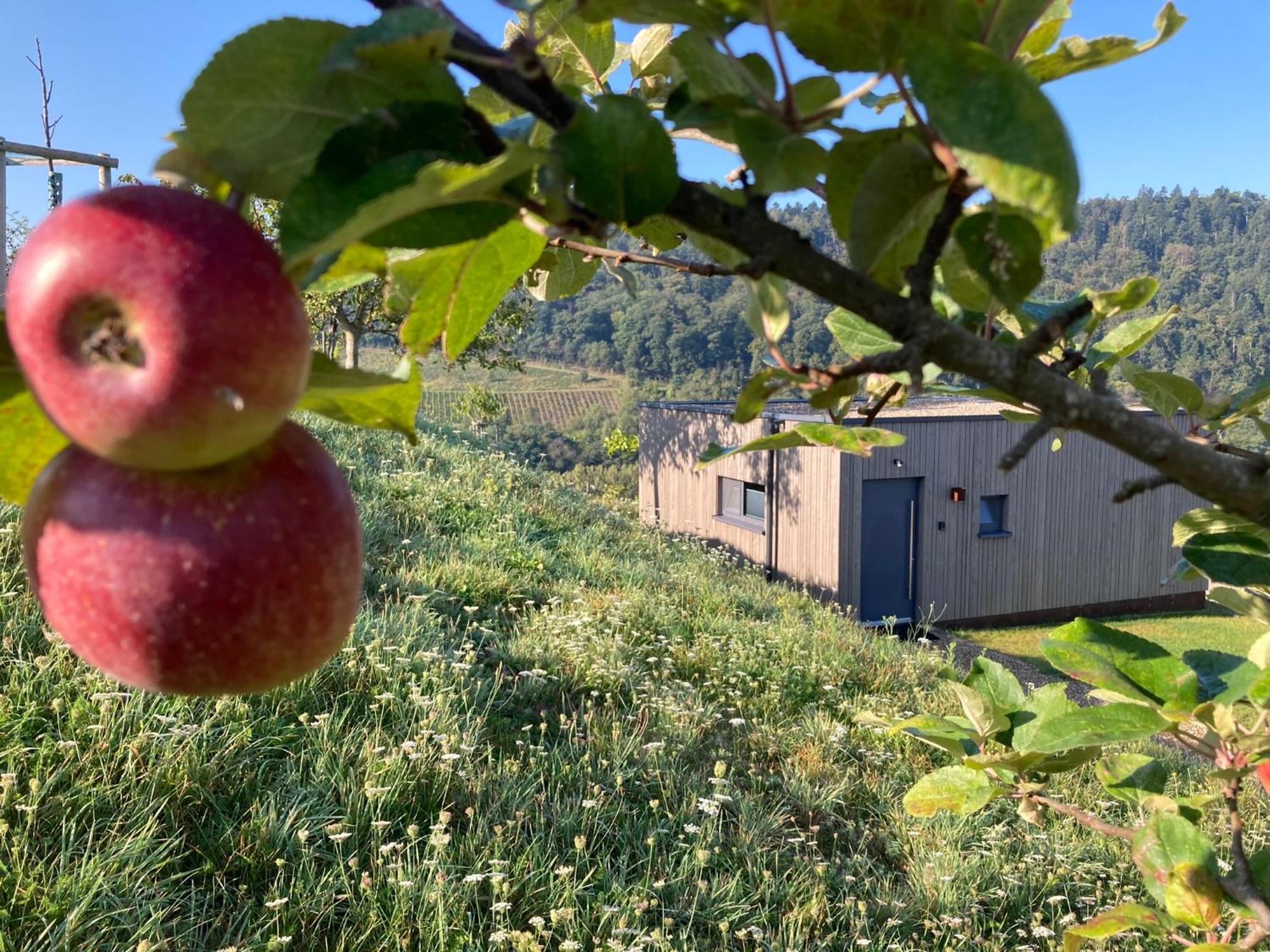 Moselhoch Lägenhet Klusserath Exteriör bild